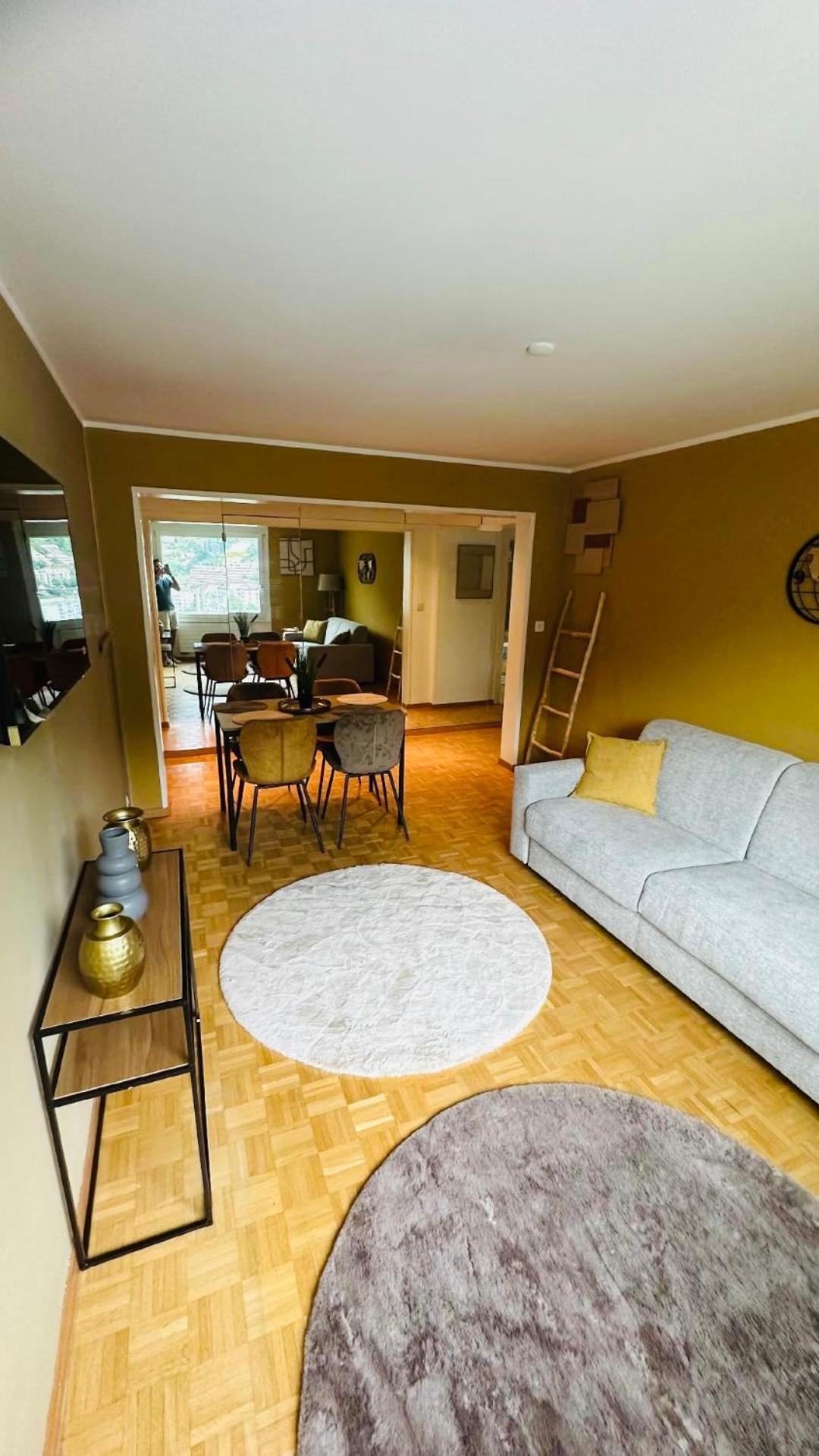 Centre Vue Leman Appartement